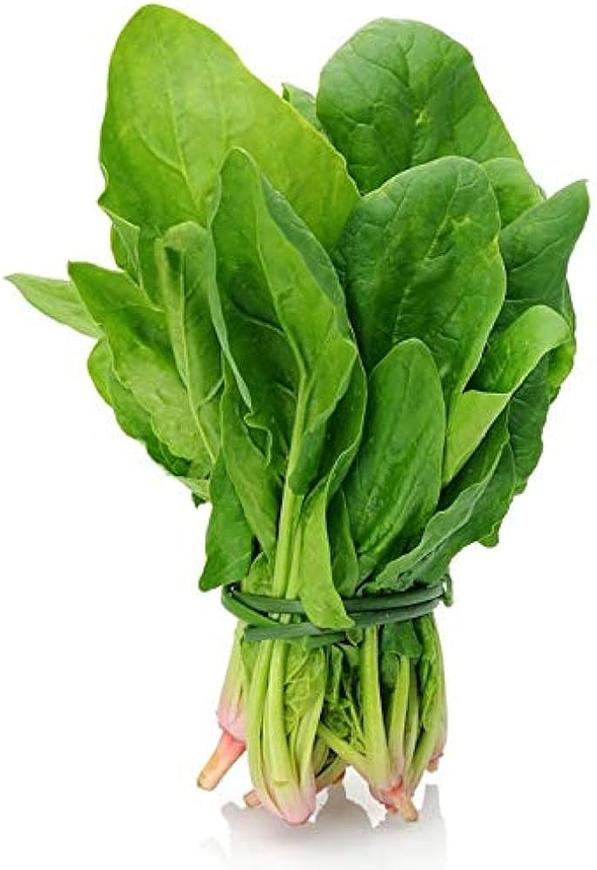 fresh green